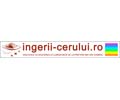 Logo of the website ingerii-cerului.ro