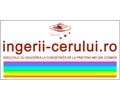 Logo of the website ingerii-cerului.ro